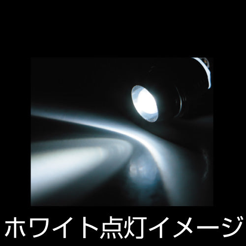 ジェットイノウエ(JET INOUE)　LEDミニパイロットランプ-528214-デイトラ