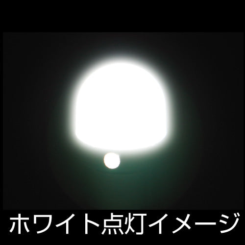 ジェットイノウエ(JET INOUE)　LC-05 BA9Sタイプ　3Dバルブ-528724-デイトラ