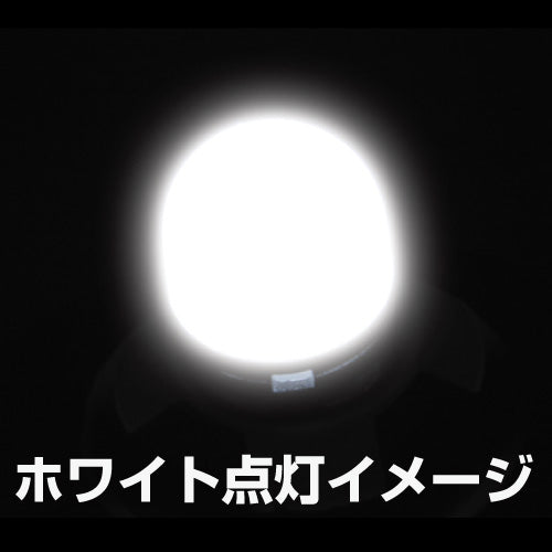 ジェットイノウエ(JET INOUE)　LA-015 ハイパワーLED T10 ウェッジバルブNEO-529034-デイトラ