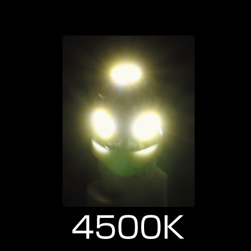 ジェットイノウエ(JET INOUE)　LED T10ウェッジバルブ　ホワイト-529161-デイトラ