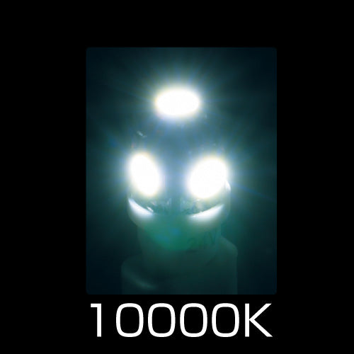 ジェットイノウエ(JET INOUE)　LED T10ウェッジバルブ　ホワイト-529164-デイトラ