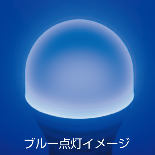 ジェットイノウエ(JET INOUE)　LC-04 LEDハイパワー3Dバルブ-529581-デイトラ