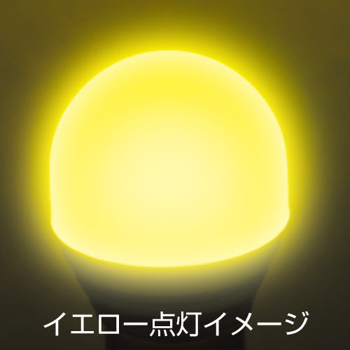 ジェットイノウエ(JET INOUE)　LC-04 LEDハイパワー3Dバルブ-529582-デイトラ