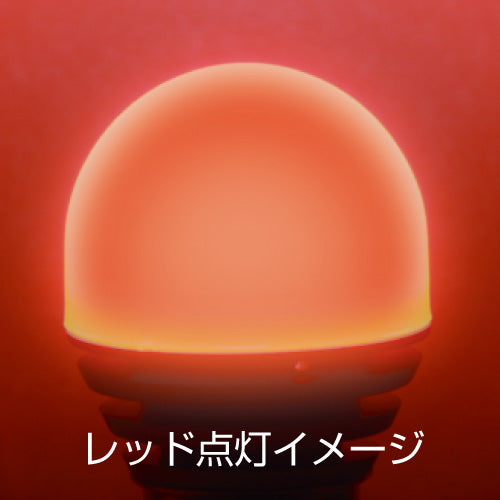 ジェットイノウエ(JET INOUE)　LC-04 LEDハイパワー3Dバルブ-529586-デイトラ