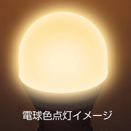 ジェットイノウエ(JET INOUE)　LC-04 LEDハイパワー3Dバルブ-529590-デイトラ
