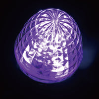 ジェットイノウエ(JET INOUE) LEDミニサイドマーカーランプ　零（ZERO）紫（ムラサキ）